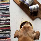 Ollo, Umami, Kaczka i Indyk, karma mokra dla psa, 850g