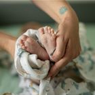 Petite&Mars, Misty, zestaw otulaczy z muślinu bambusowego, Forest Fox, 120-120 cm, 2 szt.