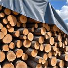 Plonos, plandeka, 500-400 cm, 260 g/m², PL-501