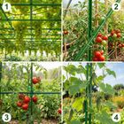 Plonos, złączki do tyczek, zielone, 11 mm, typu 2, 10 szt., PL-941