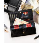 Portfel, czarny, Peterson