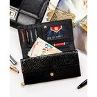 Portfel, czarny, skóra naturalna i ekologiczna, Peterson