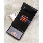 Portfel, czarny, skórzany, Peterson