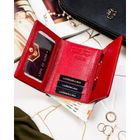 Portfel, czerwony, skóra naturalna i ekologiczna, Peterson