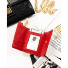 Portfel, czerwony, skórzany, RFID, Rovicky