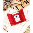 Portfel, czerwony, skórzany, Rovicky