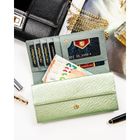 Portfel, jasnozielony, Peterson