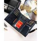 Portfel, niebieski, Peterson