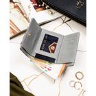 Portfel, szary, skórzany, Peterson