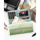 Portfel, zielony, skóra naturalna i ekologiczna, Peterson