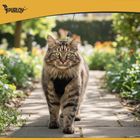 Purlov, szelki bezuciskowe dla zwierząt, rozmiar M