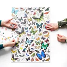 Puzzlove, CzuCzu, Motyle, puzzle, 1000 elementów