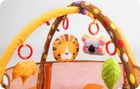 Ricokids, Lew, mata edukacyjna oraz 30 kolorowych piłeczek
