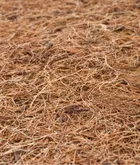 Sensillo, Luxe aloe vera, gryczano-piankowo-kokosowy materac, 120-60 cm