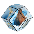 Shashibo, kostka magnetyczna, łamigłówka, Arctic