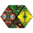 Shashibo, kostka magnetyczna, łamigłówka, Jungle