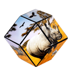 Shashibo, kostka magnetyczna, łamigłówka, Savanna