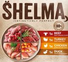 Shelma, kurczak, wołowina, kaczka i indyk, mokra karma dla kotów, 85g, 4 szt.