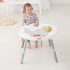 Skip Hop, Explore and More, stolik interaktywny 3w1