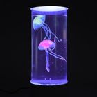 Smiki, Meduzy, lampka tuba