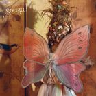 Souza! Louanne, sukienka i skrzydła motyl, wróżka, strój, 8-10 lata