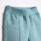 Spodnie dresowe chłopięce, niebieskie, Nicol