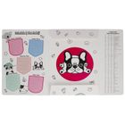 Starpak, teczka z gumką A4, minisy, 1 szt.