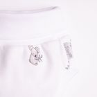 Szorty chłopięce, bloomersy, mix, zestaw, 2 szt., Nicol