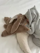 Szumisie, Ciepluś Króliczek, termofor obciążeniowy, brązowy