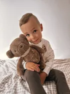 Szumisie, Miś dla starszaków, maskotka z mechanizmem szumiącym 5w1, brązowy, 36 cm