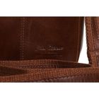 Torba listonoszka, brązowa, skórzana, Peterson