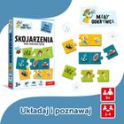 Trefl, Rodzina Treflików, Mały Odkrywca, Skojarzenia, gra edukacyjna