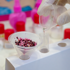 Trefl, Science4You, Fabryka perfum, zestaw L