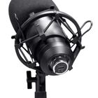 Trust, GXT 269 Emita II, mikrofon, czarny