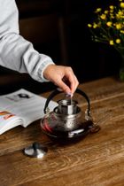 Vialli Design, Eva, zaparzacz do herbaty, srebrny, 800 ml, 1630