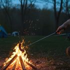 Vilde, kij na ognisko, rozkładany stalowy, 24-72 cm