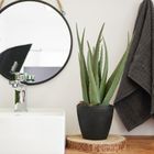 Vilde, sztuczna roślina w doniczce, Aloes, 42 cm