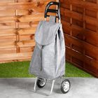 Vilde, wózek z torbą na zakupy, szary, 30l