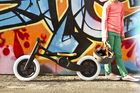 Wishbone Bike, Recycled, rowerek biegowy 3w1