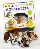 Zwierzęta. Akademia mądrego dziecka. Kolorowy świat malucha
