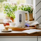 Adler, Strix, czajnik elektryczny, biały, 1,7l