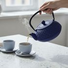 Aromelio, Sabi, czajnik żeliwny z zaparzaczem, 1000 ml