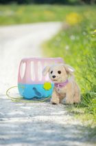 Baby Born, My dog Lucky, piesek na smyczy, maskotka z akcesoriami