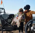 Baby Jogger, City Prix, wózek crossover, przyczepka rowerowa, Ambition Black