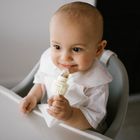 BabyOno, gryzak do podawania pokarmów, dino