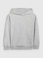 Bluza chłopięca z kapturem, szara, 4F