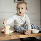 Bocioland, Lew, zestaw naczyń, 5 elementów