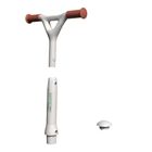 Chicco, First Rides, jeździk i hulajnoga 2w1