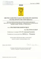 Cool Club, Kapcie dziewczęce, granatowe, skórzana wkładka, Zdrowa Stopa