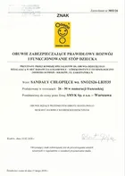 Cool Club, Sandały chłopięce, brązowe, Zdrowa Stopa, Hot Wheels